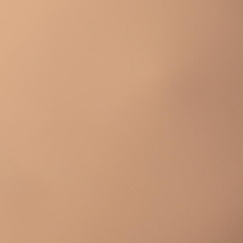 Palladio Skin Tint with Aloe, Niacinamide and Hyaluronic Acid, Sheer to Medium Coverage, Glowy Finish, Brightening and Blurring Lightweight Foundation Makeup